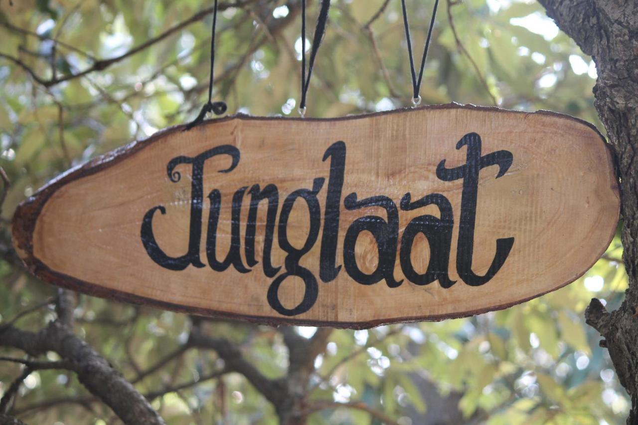 Junglaat Stays & Experiences Dharamshala Exteriör bild