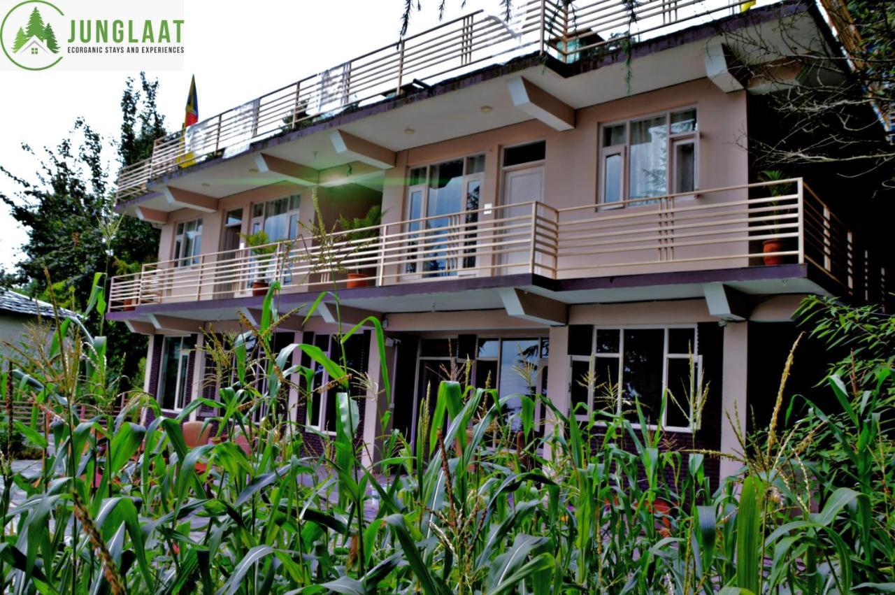 Junglaat Stays & Experiences Dharamshala Exteriör bild