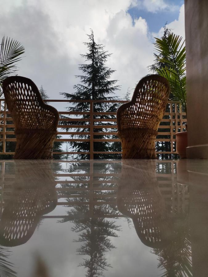 Junglaat Stays & Experiences Dharamshala Exteriör bild