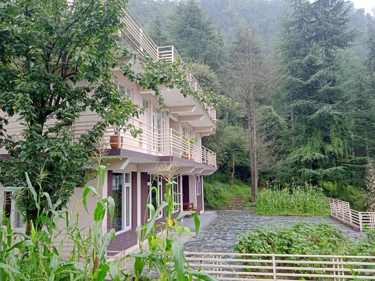 Junglaat Stays & Experiences Dharamshala Exteriör bild
