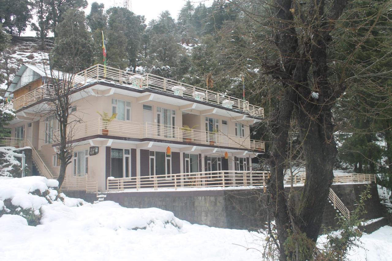 Junglaat Stays & Experiences Dharamshala Exteriör bild