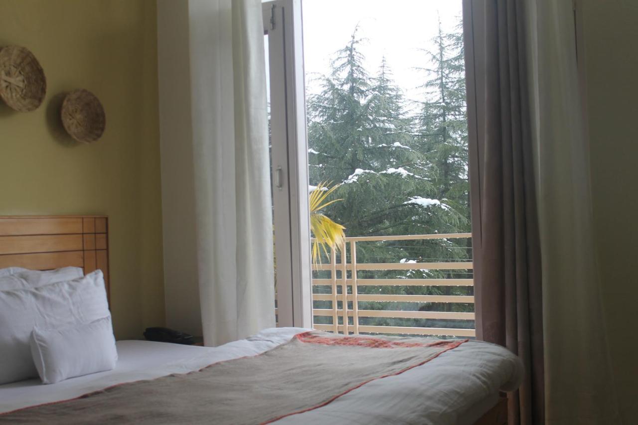 Junglaat Stays & Experiences Dharamshala Exteriör bild
